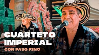 Cuarteto Imperial - Con paso fino │ Video Clip 2022