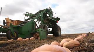 Morton, Illinois: World's Supply of Pumpkin Pie