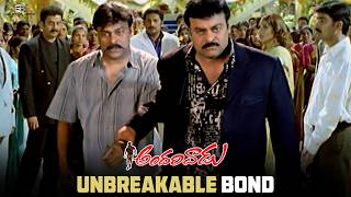 Andarivaadu Movie |Unrbeakable Bond | Chiranjeevi, Rimi Sen, Tabu, Sunil, Prakash Raj
