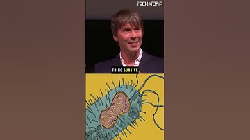 From a Single Cell to a Complex Life w Professor Brian Cox #science #spacescience #astronomy