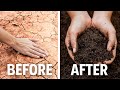 3 ingredients to fix any soil the lazy way
