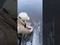 Barbels and Sunsets! 🌅