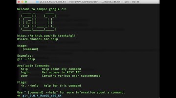 리눅스의 기본적인 cli 명령어를 알아보자 1탄 !