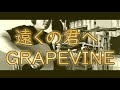 遠くの君へ/GRAPEVINE ギター弾き語り(acoustic cover)
