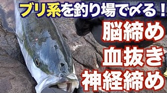 神経締め Youtube