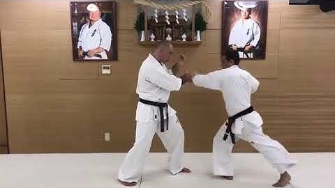 Combination #20. Yakusoku Kumite