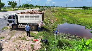 : Processing Landfill Project! By Skill Dozer Push Soil & Dump Truck 5Ton Village development, Mix VDO