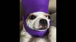 Dj Paul X Lj Beatz Ridin Clean B Boosted