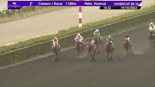 Vidéo de la course PMU PRIX WRONG WAY