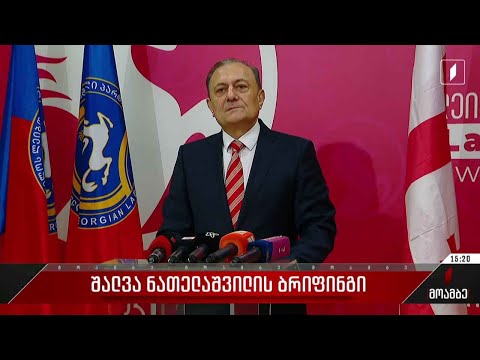 შალვა ნათელაშვილის ბრიფინგი
