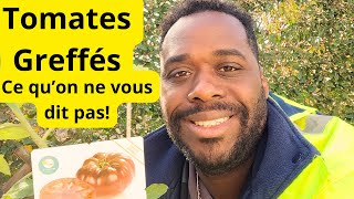 Tomates greffés ce qu'on ne vous dit pas!