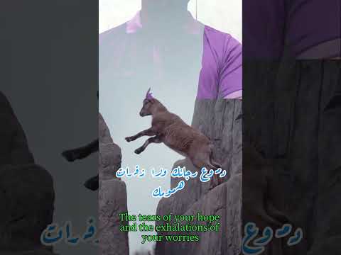الصبر سلوك