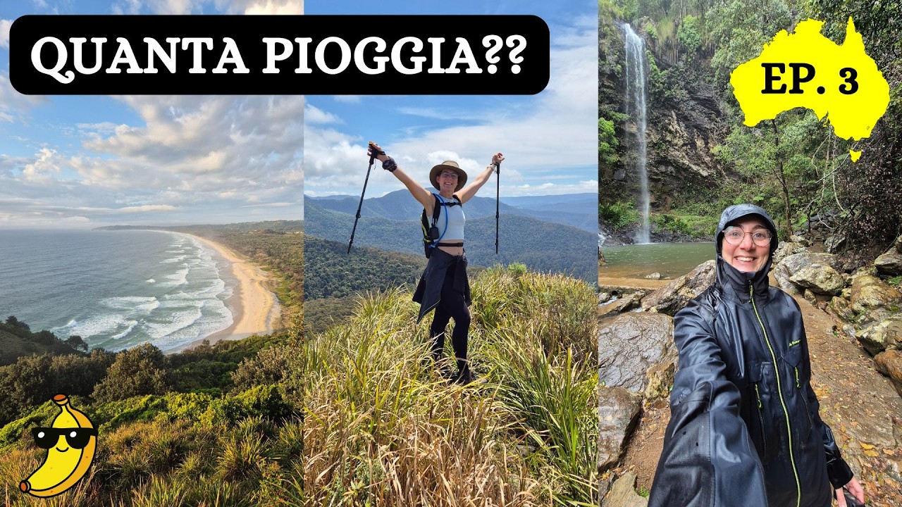 In auto da Brisbane a Sydney: tra escursioni e banane giganti 🚗🍌 – AU ep.3