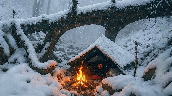 Solo Survival in a Blizzard | No Tent, No Sleeping Bag, Just Fire and Guts!