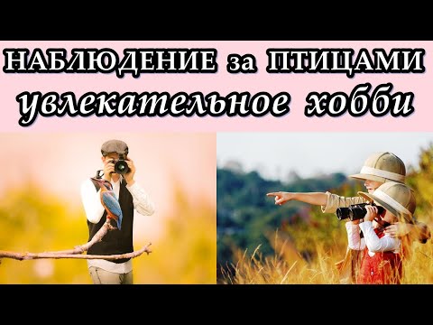 НАБЛЮДЕНИЕ за ПТИЦАМИ - Увлекательное хобби