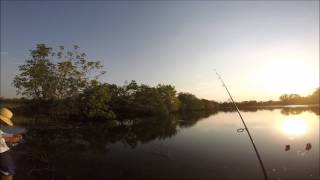 Gopro - Tucunare No Slimshad -
