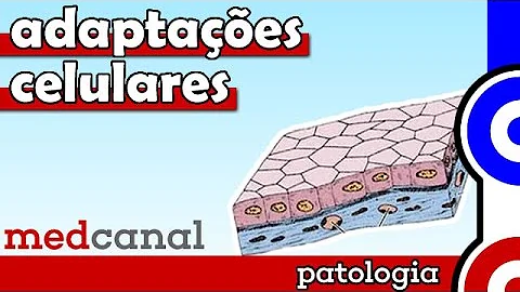 O que é mecanismo de lesão celular?