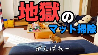 【うさ飼いの苦労】フローリングの床材に使ってるマット水洗いしたら地獄だった #640