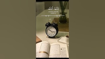 اليوم نختم على أفواههم وتكلمنا أيديهم وتشهد أرجلهم بما كانوا يكسبون //القارئ: يوسف الصقير