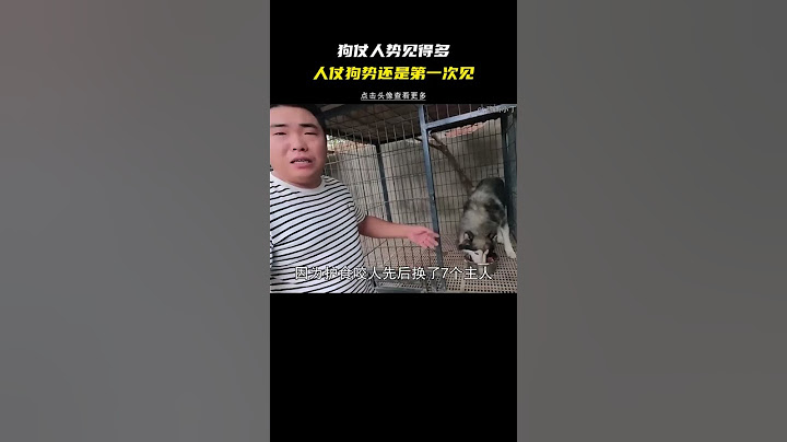 來!放黑豹! 狗仗人勢看多了 來看看人仗狗勢 堪稱第一人 #狗 #離譜 #搞笑 #奇耙 #笑死