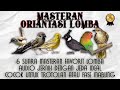 KAPAS TEMBAK, LOVEBIRD, CILILIN, GEREJA, KENARI, CIGUN Untuk Mencari Karakter Dominan Murai Batu