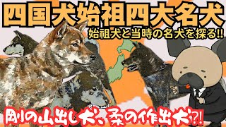 四国犬の始祖となった四大名犬〜剛の山出し犬と柔の作出犬〜四国犬5
