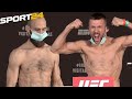 Ортега - Зомби, Гамрот - Кутателадзе, Гришин - Антигулов / UFC Бойцовский остров 6, взвешивание