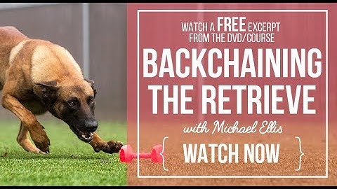 Backchaining the Retrieve with Michael Ellis