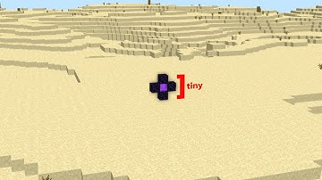 I Made The World’s Smallest Nether Portal