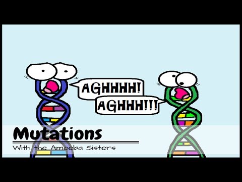Video: Vaikuttavatko missense-mutaatiot fenotyyppiin?
