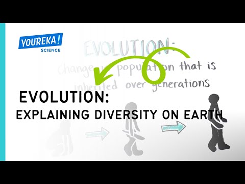 Video: Kas ir vienotība un daudzveidība bioloģijā?