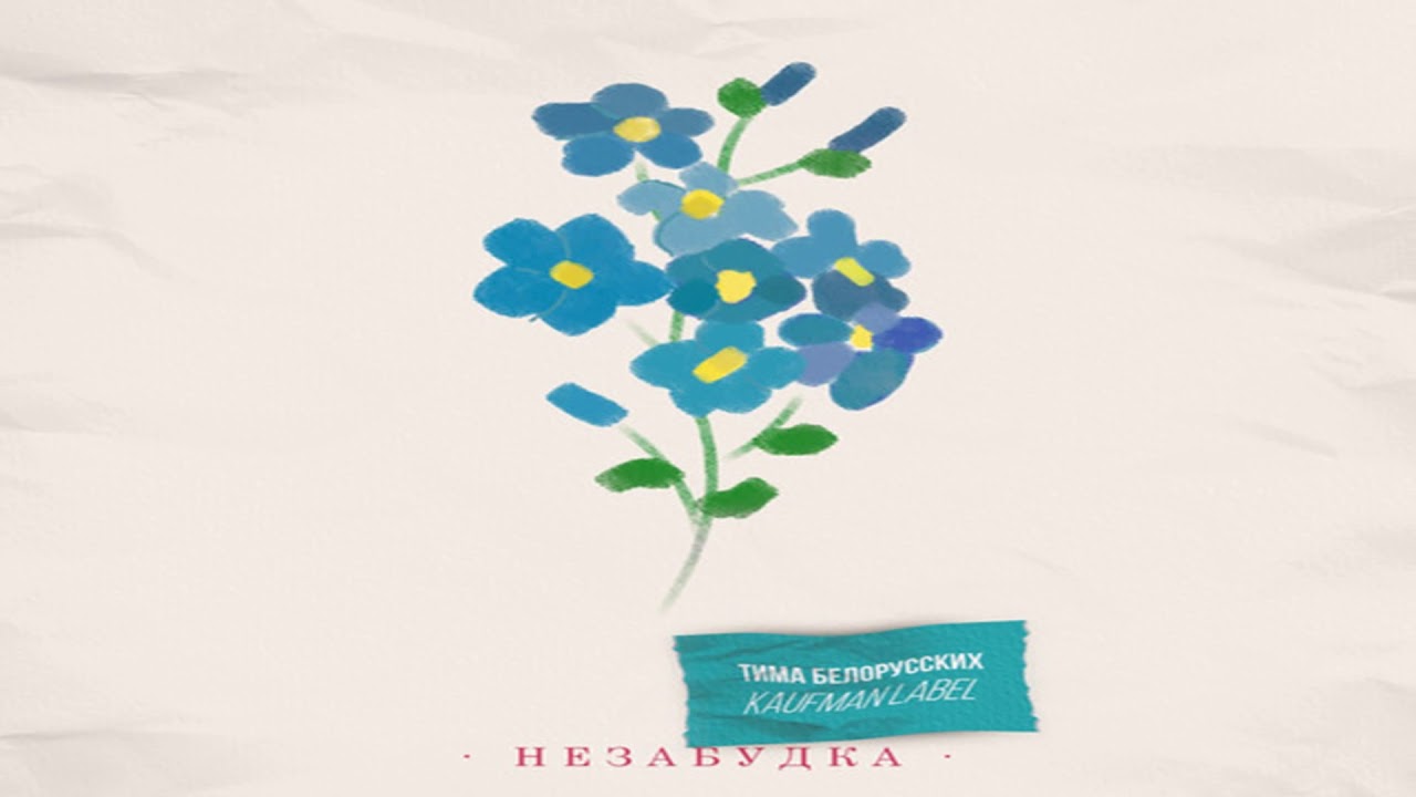 тима белорусских незабудка. незабудка. тима белорусских незабудка. незабудка песня тима белорусских. тима беларусь незабудка.
