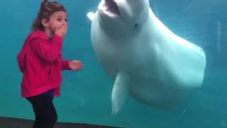 [MUST WATCH] Top funny Aquarium fails KIDS compilation|