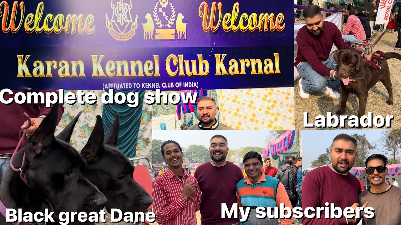 German Shepherd s Perform In Kci Dog Show Karnal YouTube german-shepherd-s-perform-in-kci-dog-show-karnal-youtube