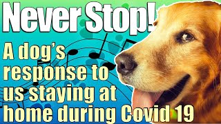 Never Stop - Dogs during Covid 19 Singing a Parody Song of Joy!
