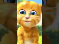 My talking tom cat ginger 2  how to act my tom cat  ginger2  affisap2  viralshorts.
