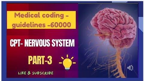 CPT-NERVOUS SYSTEM- PART-3