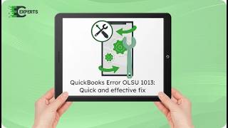 How to Fix QuickBooks Error OLSU 1013? Expert Guide