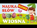 Nauka słów cz1. WIOSNA - Przyroda, Pogoda, Przedmioty, Rośliny, Zwierzęta dla dzieci