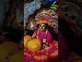 AMAVASYA DARSHAN LADDU GOPAL #shorts #krishna #amavasya