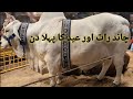 Chand Raat or Eid 1st day #trend #vlog