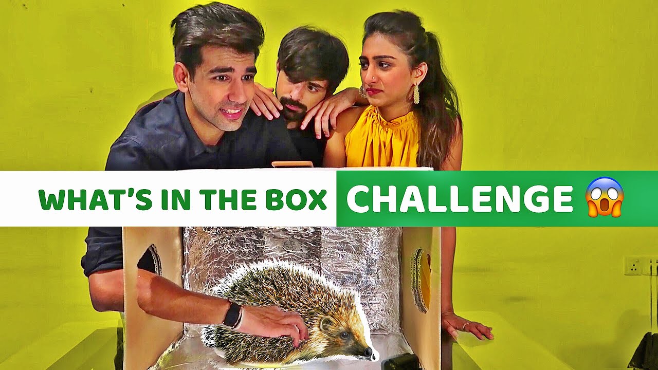 What’s in the Box Challenge | Rimorav Vlogs