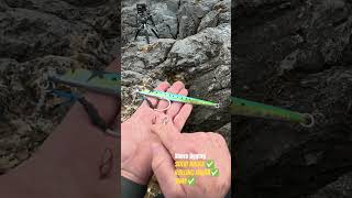 shore jigging | solid halka, rolling halka vs Snap. hangileri tercih edilmeli. artıları ve eksileri
