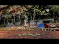 الدحية الكشفية الدحية الكشفية