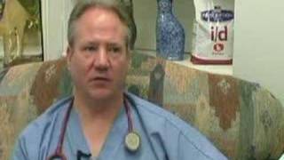 NorthPaws Veterinary Center