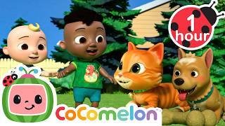 Anansi Song | CoComelon - Cody's Playtime | Songs for Kids & Nursery ...