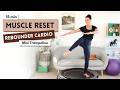 12 Min Rebounder Cardio Workout | Low Impact Fat Burn &amp; Lymphatic Drainage | Fun Mini Trampoline