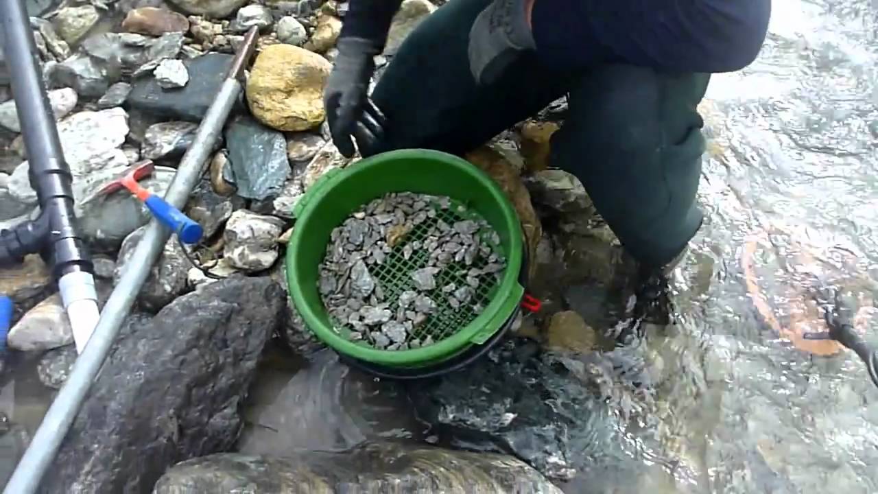 Goldsucher In Alaska