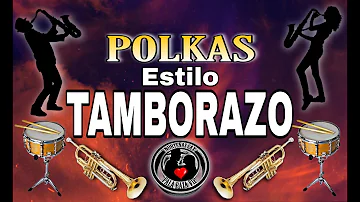 Polkas Estilo Tamborazo Para Bailar - Pala Raza Vip