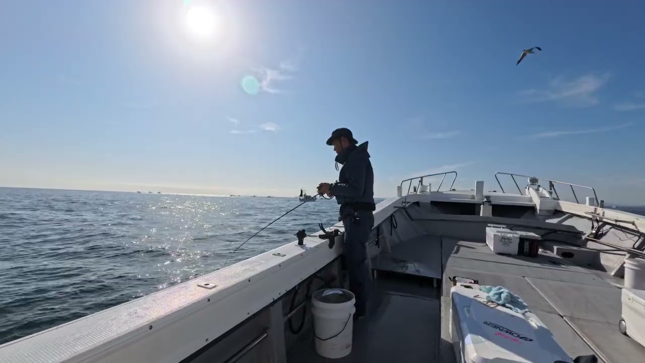 20251223 豊後水道　太刀魚釣り　大進丸